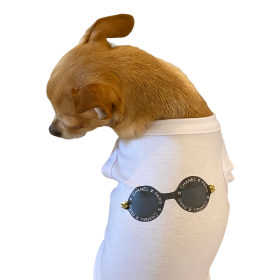 My Summer CC Sunnies (size: X Large)