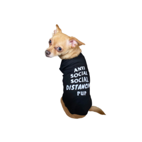 Anti Social Social Distancing Pup (Color: Black, size: small)